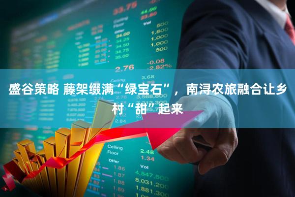 盛谷策略 藤架缀满“绿宝石”，南浔农旅融合让乡村“甜”起来