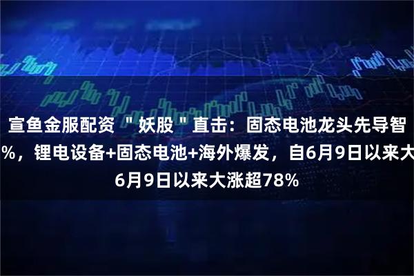 宣鱼金服配资 "妖股"直击:固态电池龙头先导智能大涨20%,锂电设备+固态电池+海外爆发,自6月9日以来大涨超78%