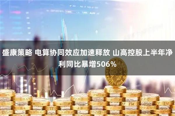 盛康策略 电算协同效应加速释放 山高控股上半年净利同比暴增506%