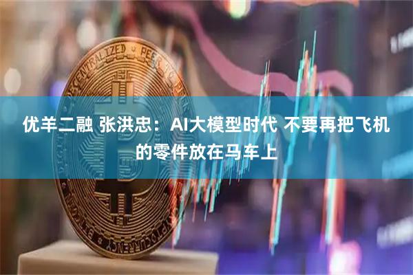 优羊二融 张洪忠：AI大模型时代 不要再把飞机的零件放在马车上