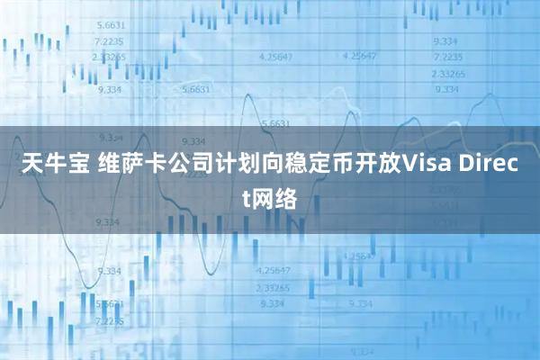 天牛宝 维萨卡公司计划向稳定币开放Visa Direct网络