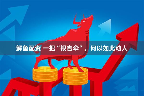 鳄鱼配资 一把“银杏伞”，何以如此动人